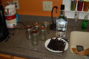 All you need to make your own vanilla extract. Vanilla beans and vodka.