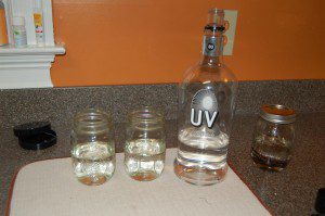 Fill your jars 3/4 of the way full with vodka.