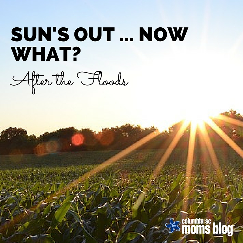 sun's out .. now what ... after the sc floods - columbia sc moms blog