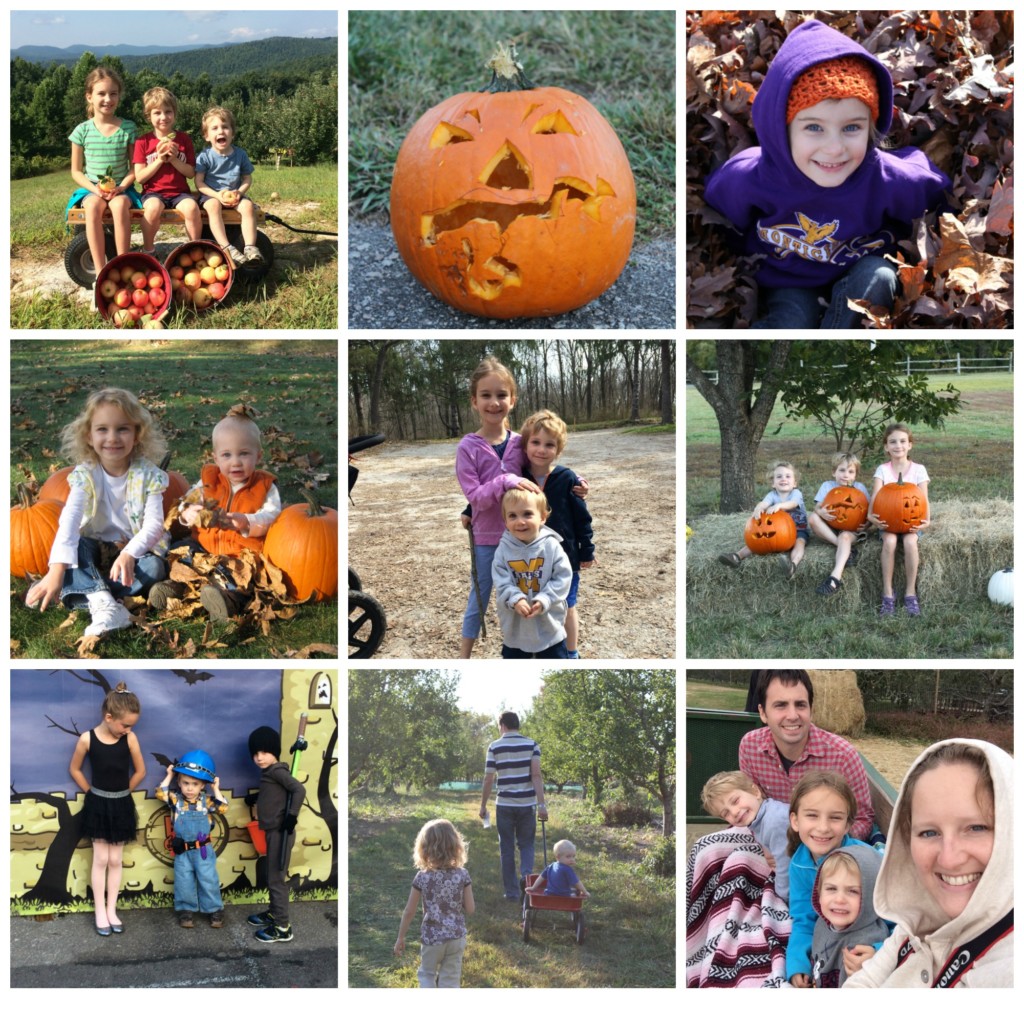 The Ultimate Family Bucket List Fall Edition - Columbia SC Moms Blog