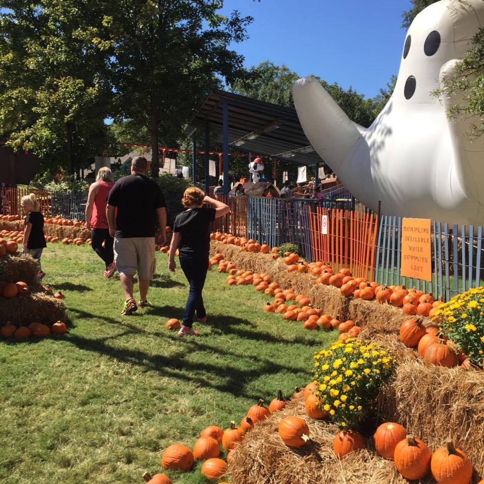 7 Reasons You’ll Love the Great Pumpkin Fest at Carowinds - Columbia SC Moms Blog